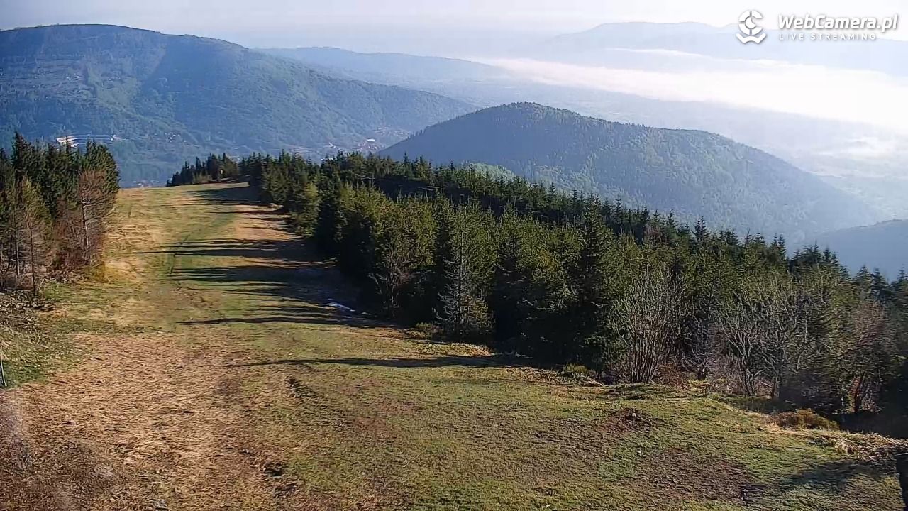 COS - SKRZYCZNE - 10 maj 2026, 07:06