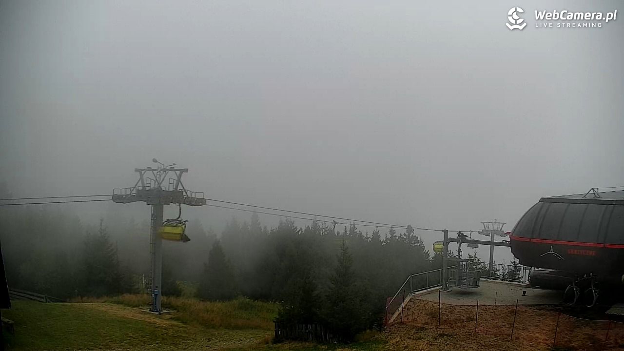 COS - SKRZYCZNE - 11 sierpień 2026, 09:37