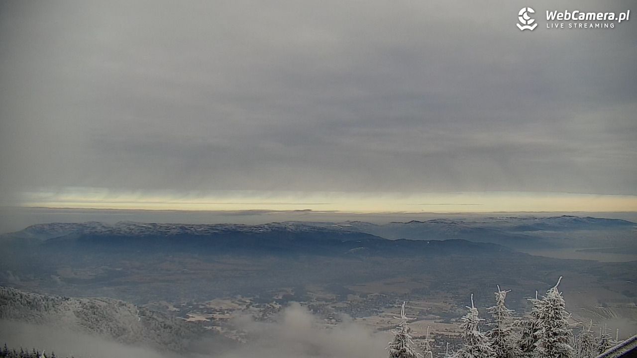 COS - SKRZYCZNE - 02 luty 2026, 12:23