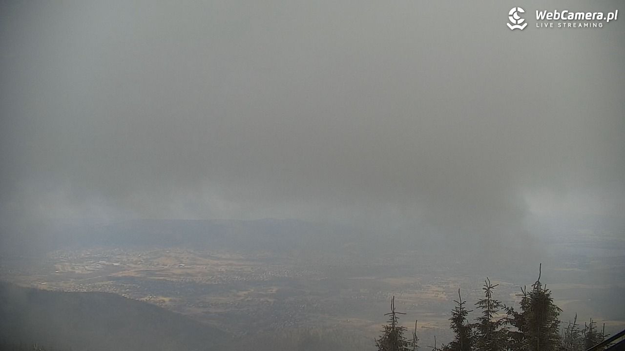 COS - SKRZYCZNE - 21 marzec 2026, 11:15