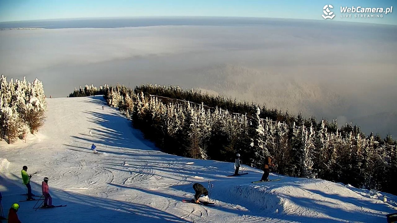 COS - SKRZYCZNE - 01 luty 2026, 10:04