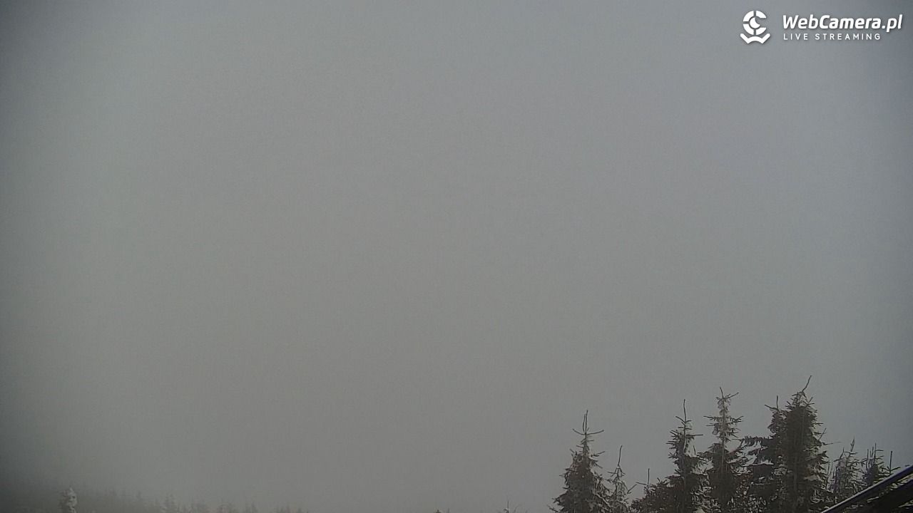 COS - SKRZYCZNE - 01 luty 2026, 11:27