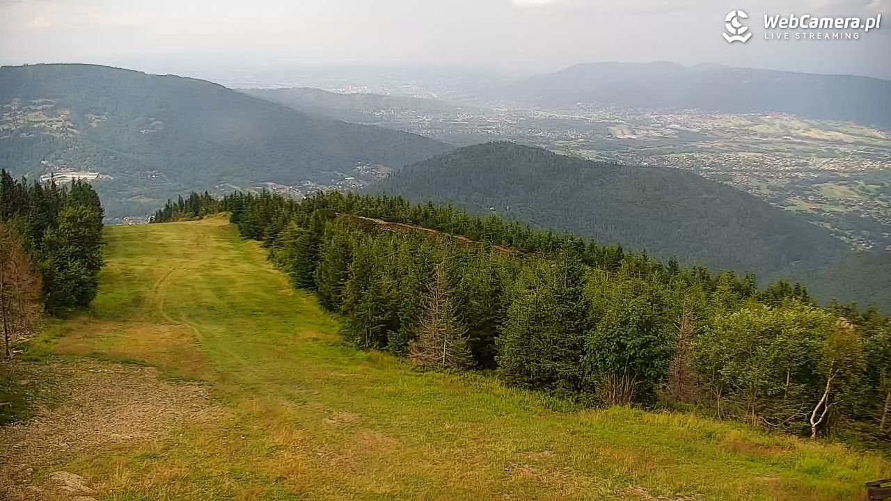 COS - SKRZYCZNE - 01 sierpień 2025, 16:28