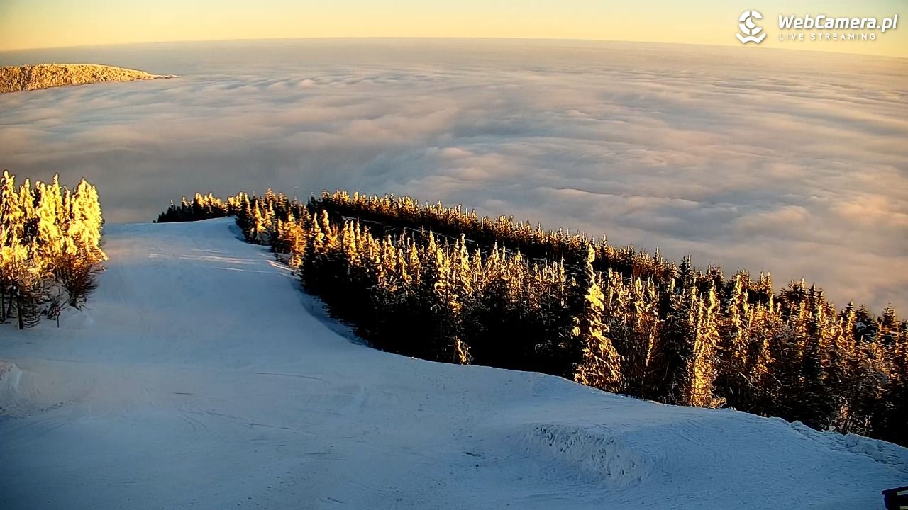 COS - SKRZYCZNE - 01 luty 2026, 07:45