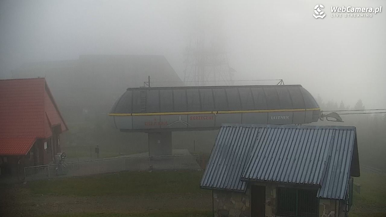 COS - SKRZYCZNE - 15 wresień 2025, 18:01