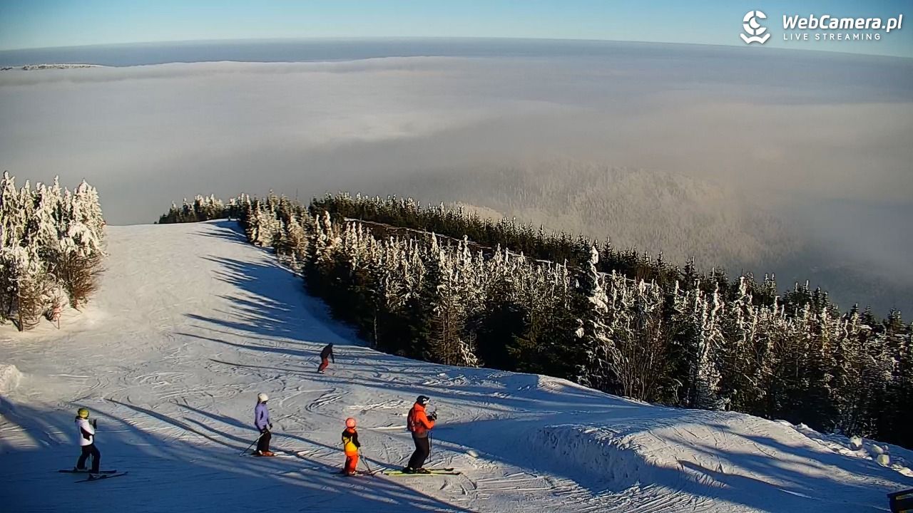 COS - SKRZYCZNE - 01 luty 2026, 10:14