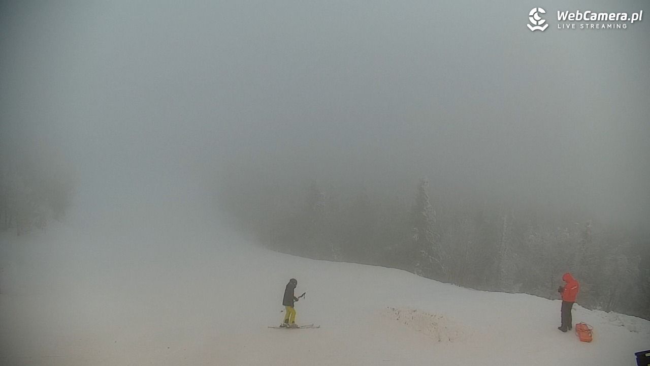 COS - SKRZYCZNE - 01 luty 2026, 15:35