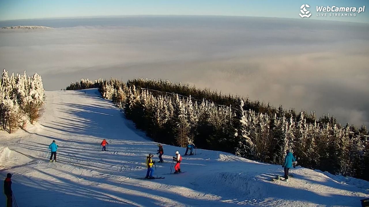 COS - SKRZYCZNE - 01 luty 2026, 09:27