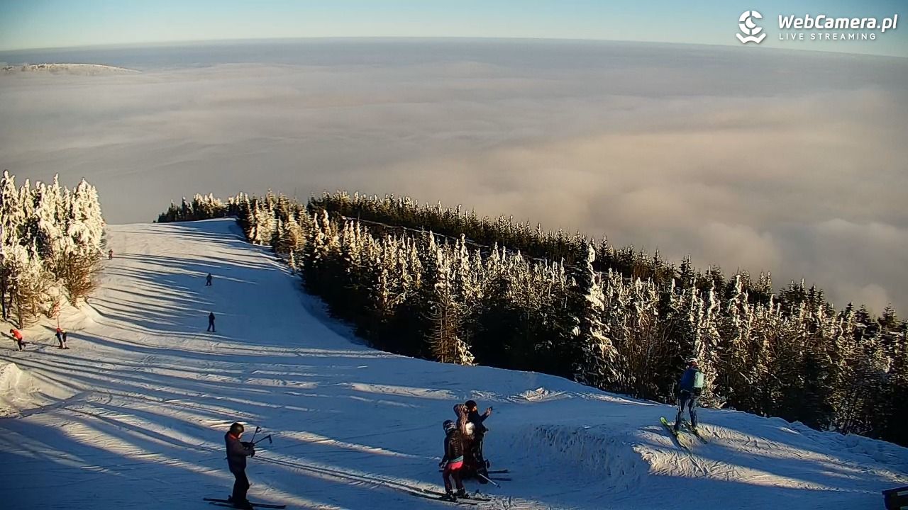 COS - SKRZYCZNE - 01 luty 2026, 09:12