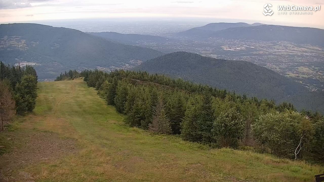 COS - SKRZYCZNE - 02 sierpień 2025, 05:23
