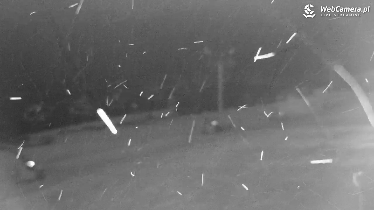 Czarna Góra - Resort - 26 styczeń 2026, 21:01