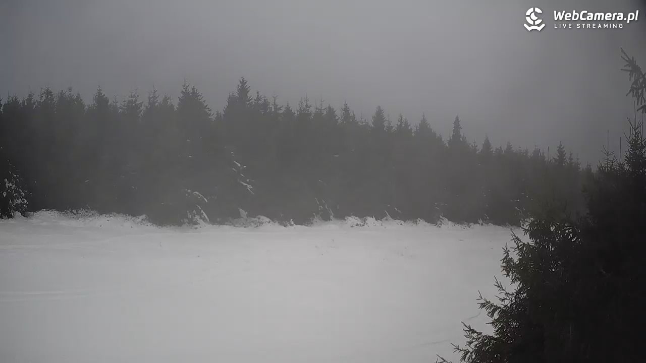 Czarna Góra Resort - 01 grudzień 2025, 15:25