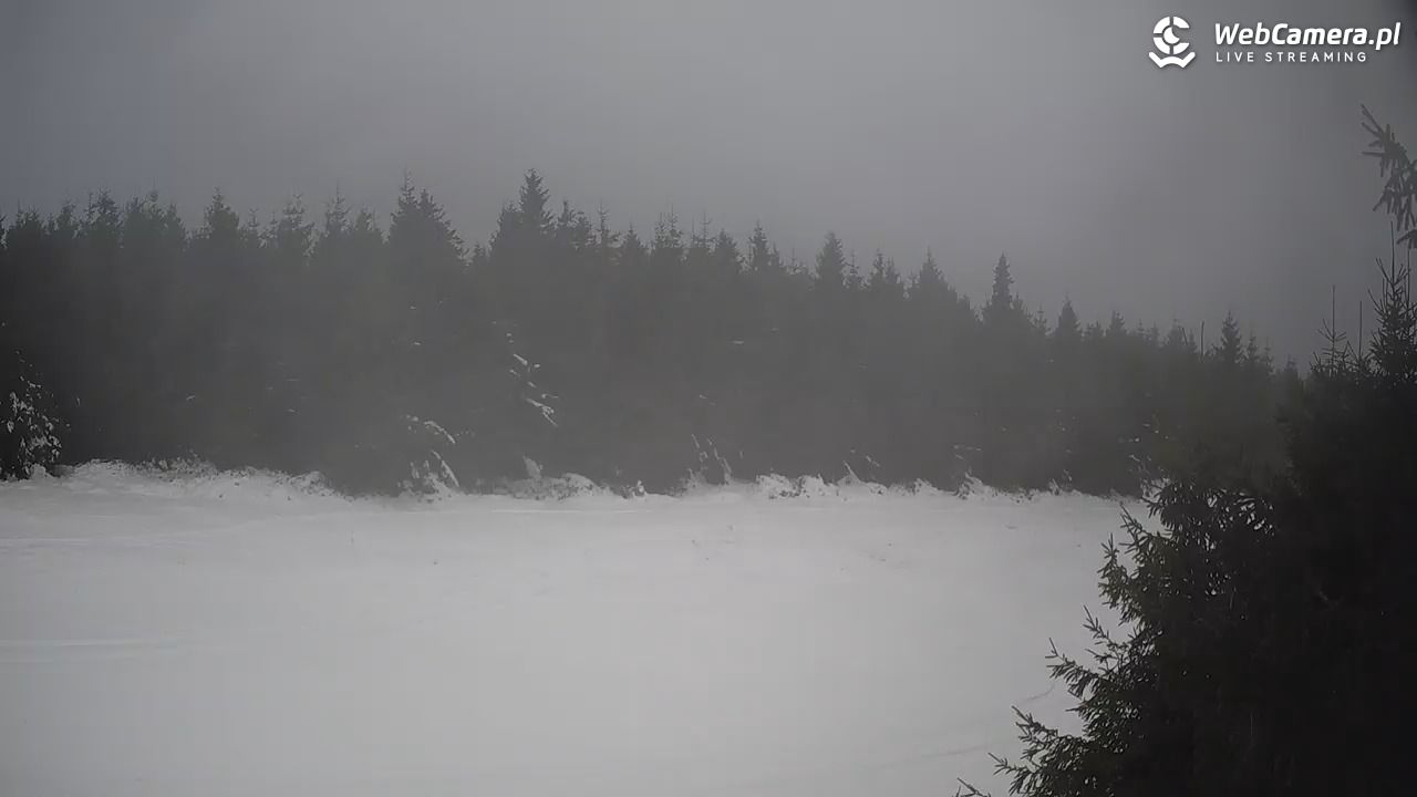Czarna Góra Resort - 01 grudzień 2025, 15:26
