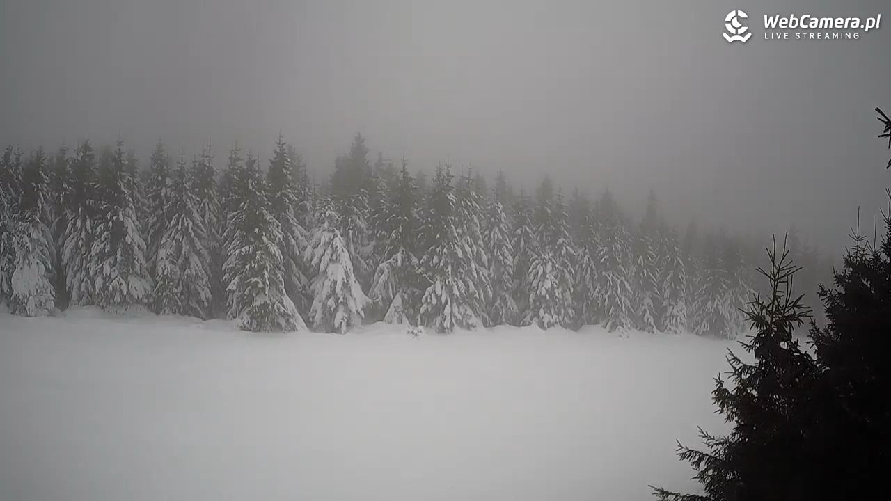 Czarna Góra Resort - 14 styczeń 2026, 09:35