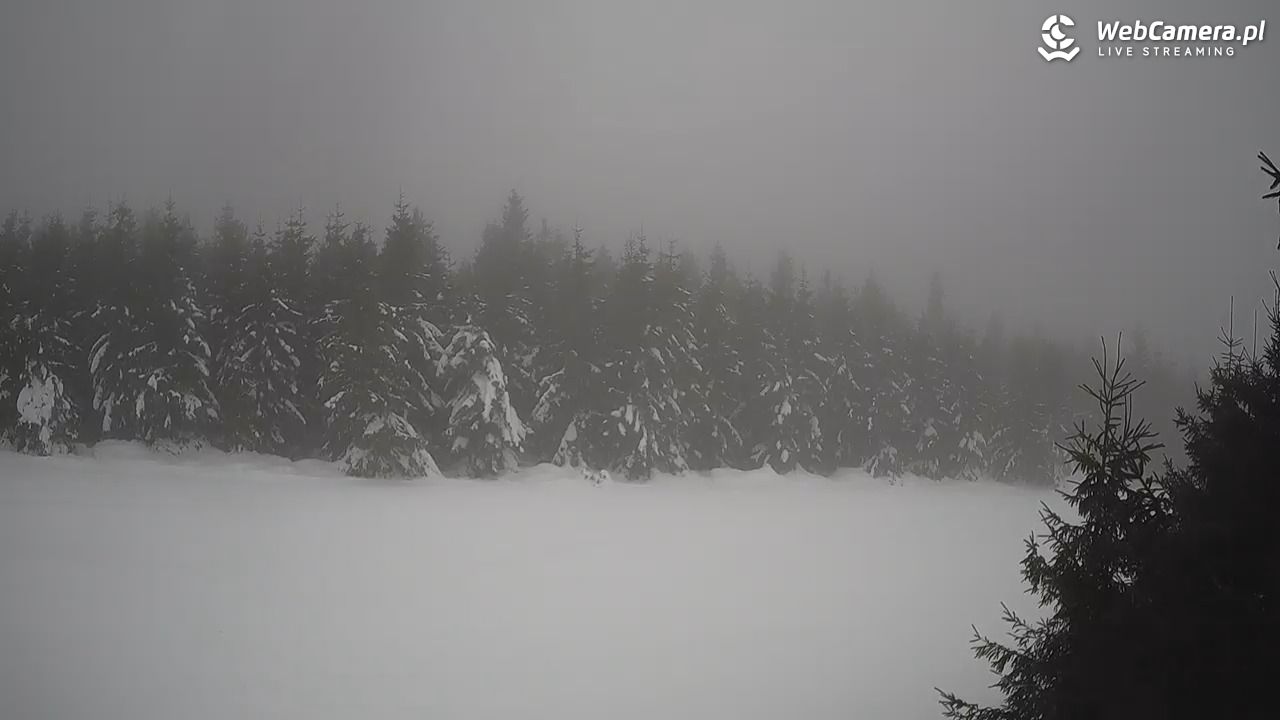 Czarna Góra Resort - 15 styczeń 2026, 09:17