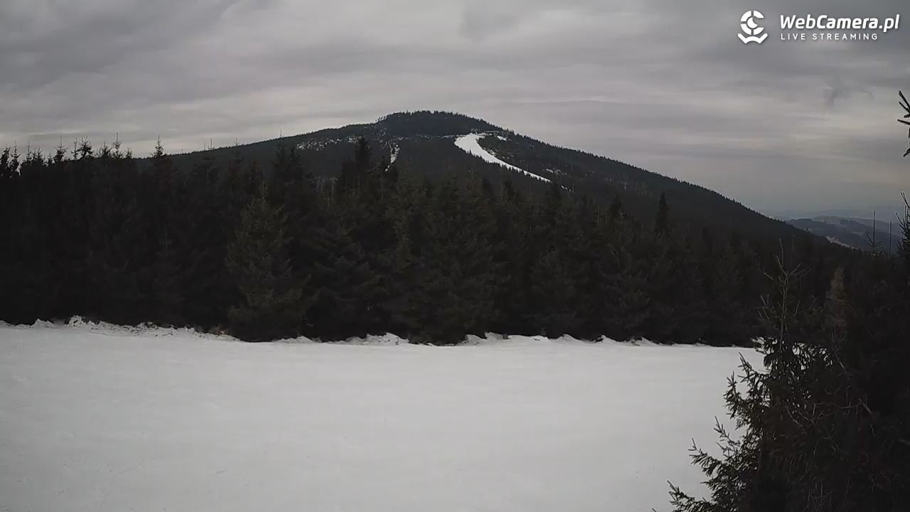 Czarna Góra Resort - 01 marzec 2026, 14:00