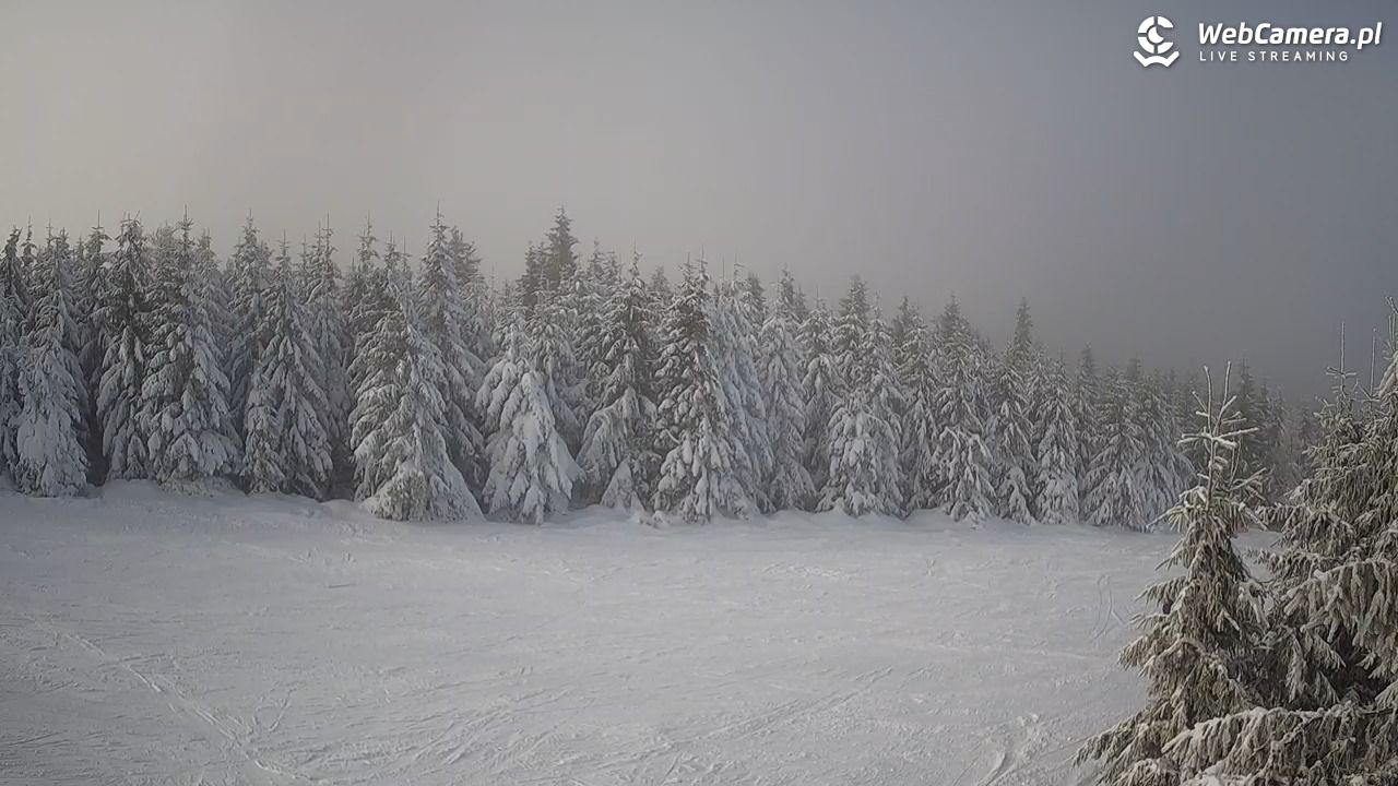 Czarna Góra Resort - 13 styczeń 2026, 12:55