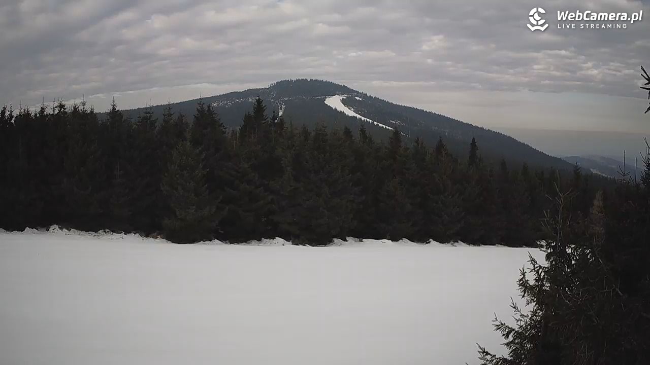 Czarna Góra Resort - 01 marzec 2026, 09:43