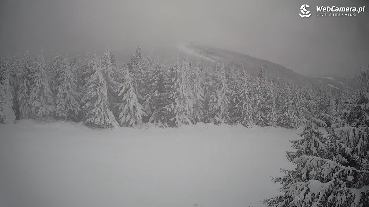 Czarna Góra Resort - 27 listopad 2025, 08:53