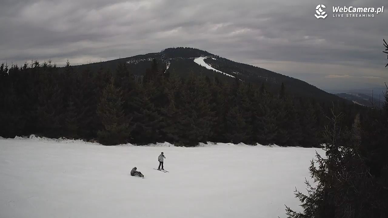 Czarna Góra Resort - 01 marzec 2026, 13:13