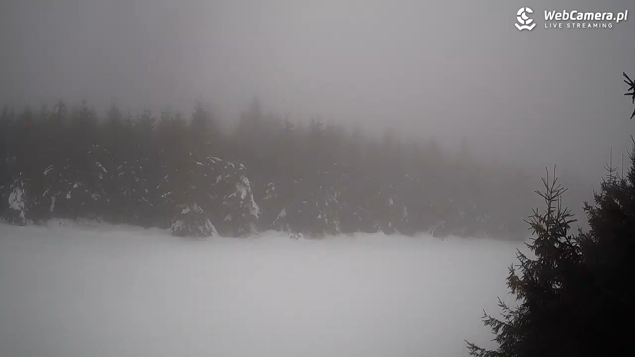 Czarna Góra Resort - 15 styczeń 2026, 16:21