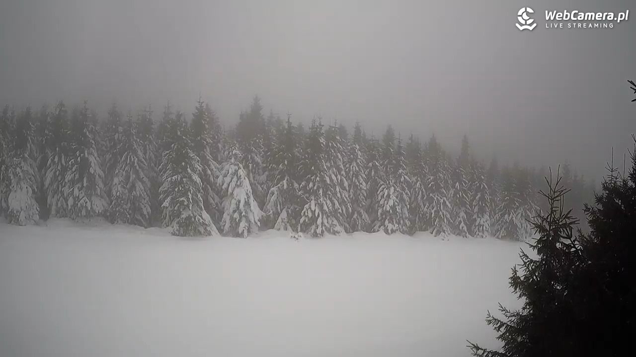 Czarna Góra Resort - 14 styczeń 2026, 09:59