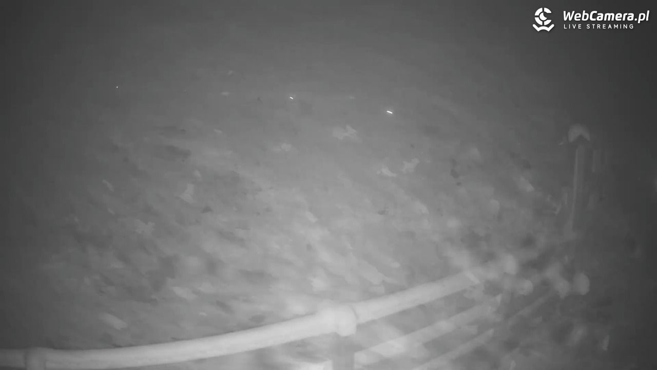 Czarnów-ski - 29 listopad 2025, 20:45