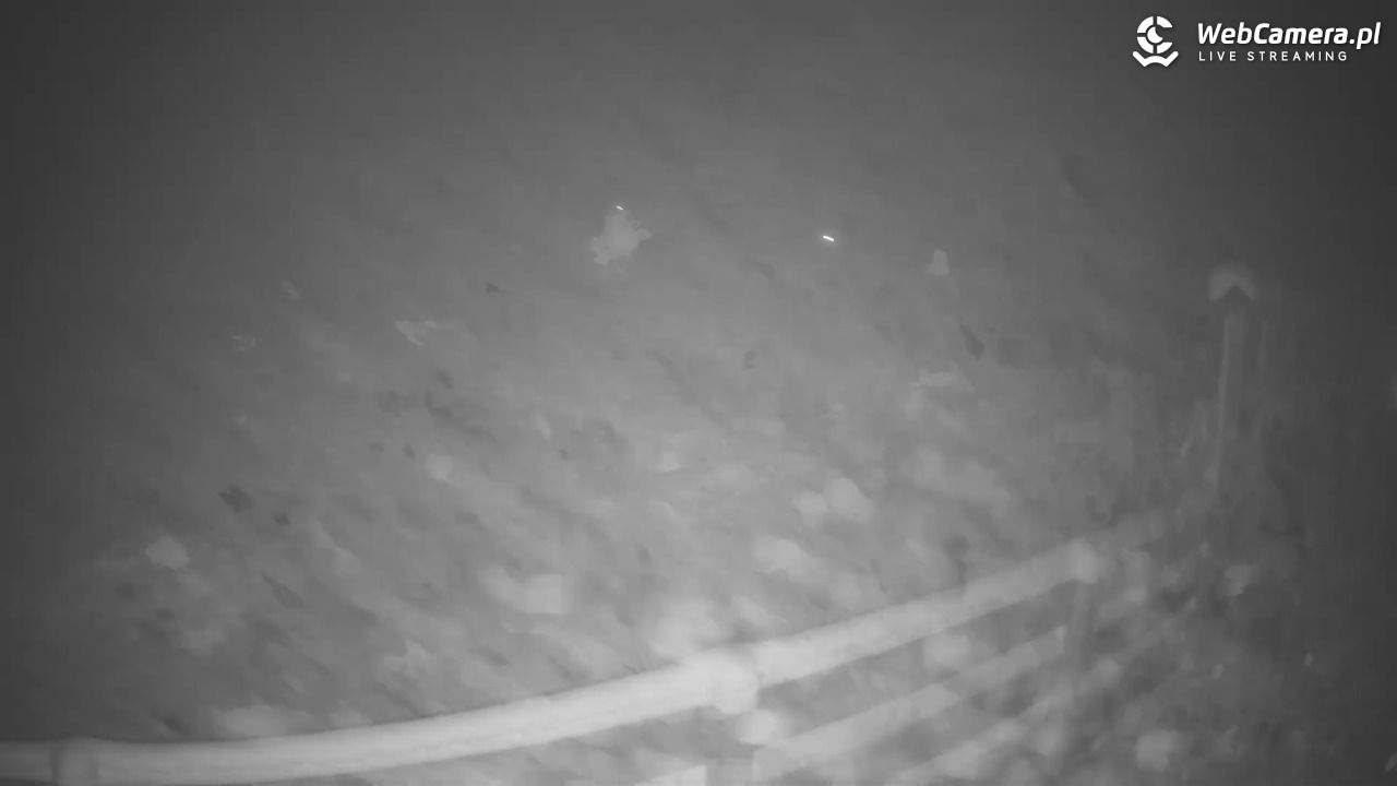 Czarnów-ski - 29 listopad 2025, 22:01