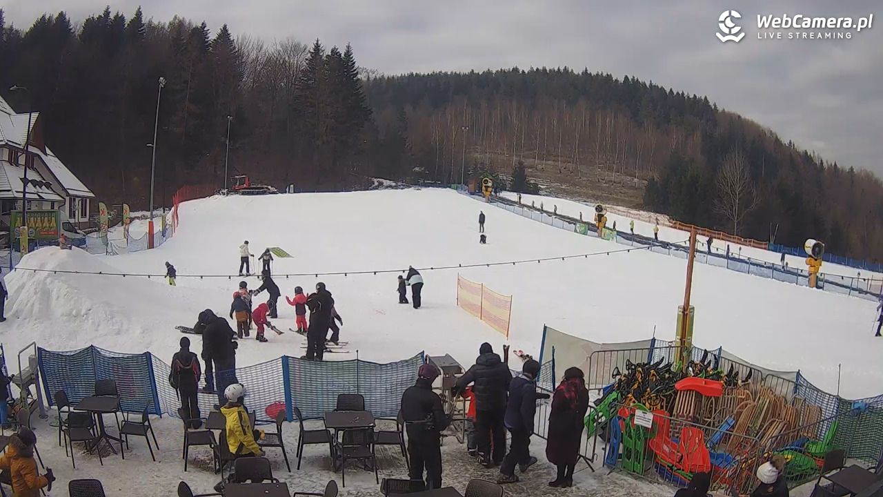 Czarny-Groń Polana Pingwina - 03 luty 2026, 12:07