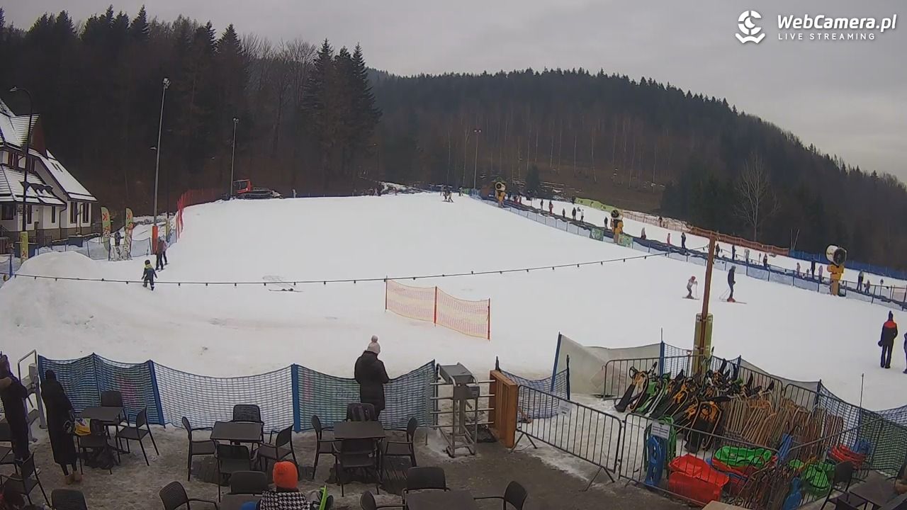 Czarny-Groń Polana Pingwina - 04 luty 2026, 13:03