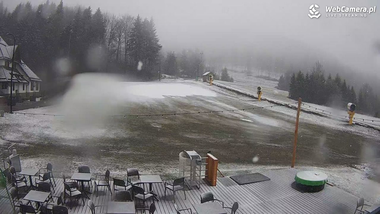 Czarny-Groń Polana Pingwina - 26 marzec 2026, 11:02