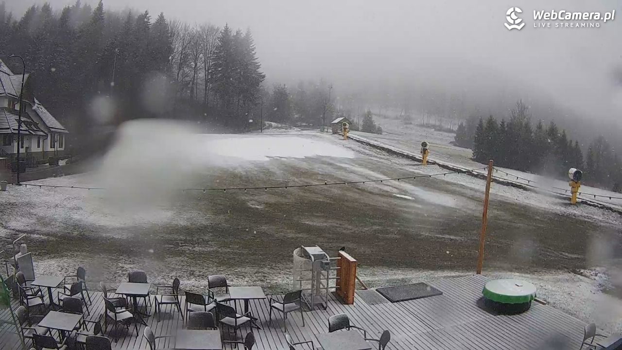 Czarny-Groń Polana Pingwina - 26 marzec 2026, 11:02