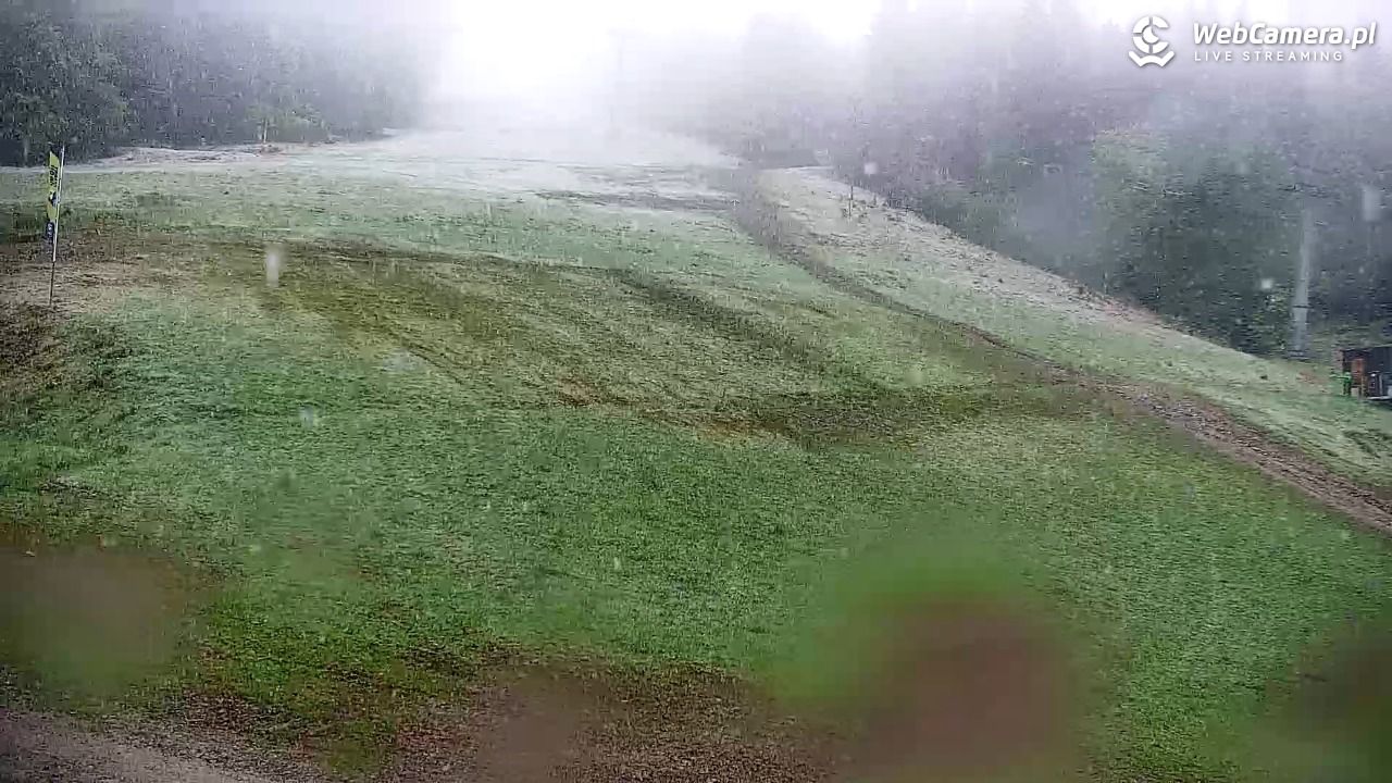 Rzyki - widok na dolny stok i orczyk w Czarnym Groniu - 15 maj 2025, 09:30