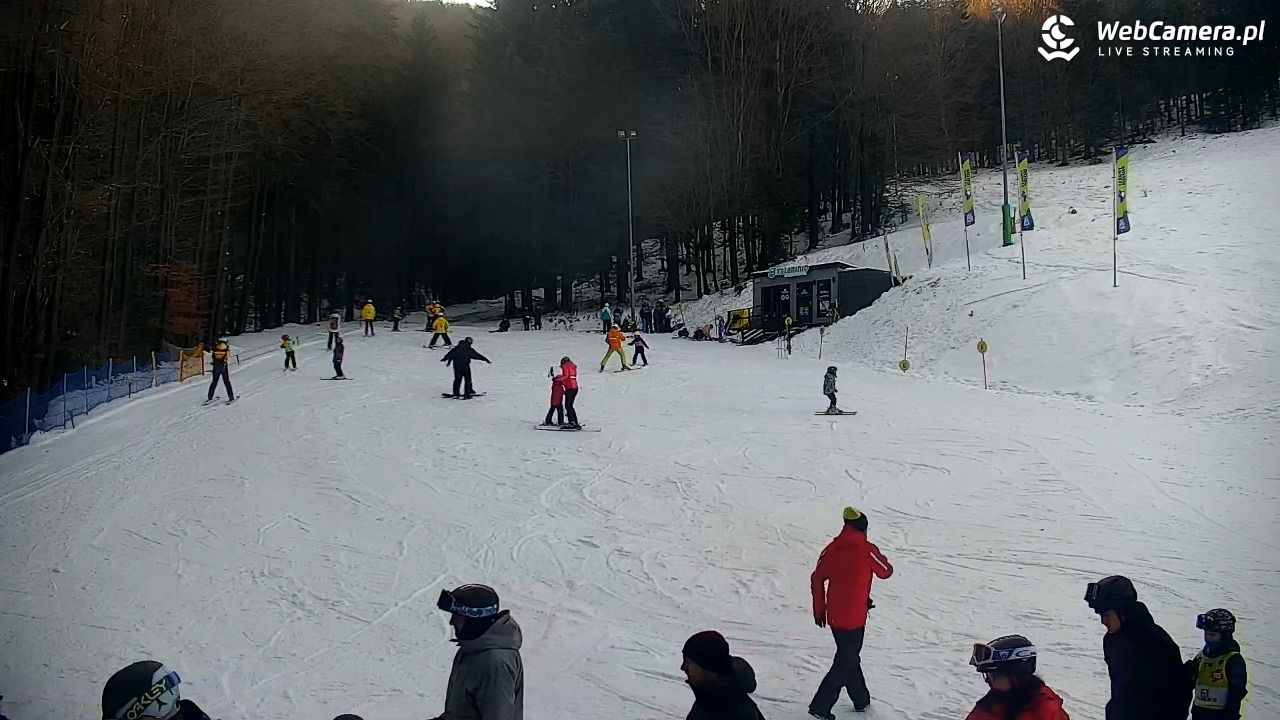 Rzyki - widok na dolny stok i orczyk w Czarnym Groniu - 17 styczeń 2026, 12:23