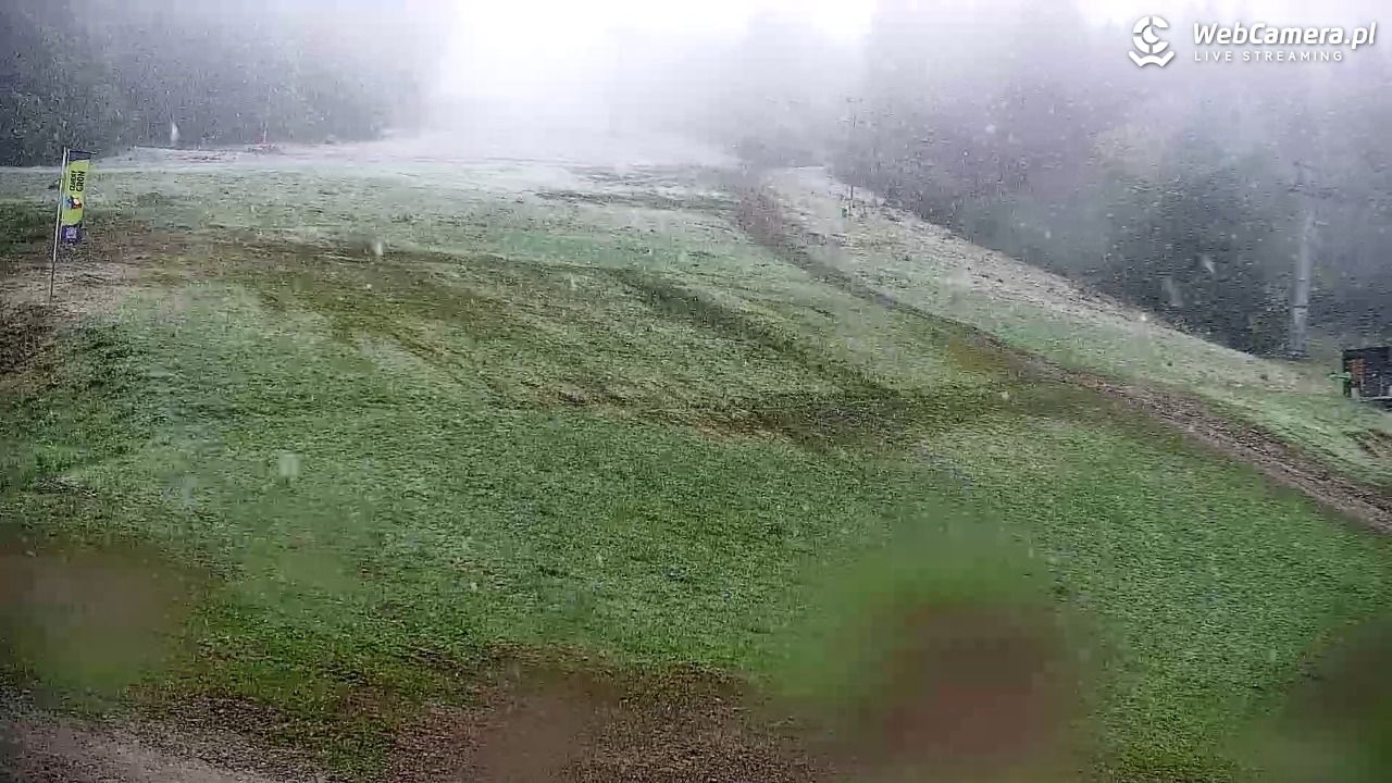 Rzyki - widok na dolny stok i orczyk w Czarnym Groniu - 15 maj 2025, 09:31