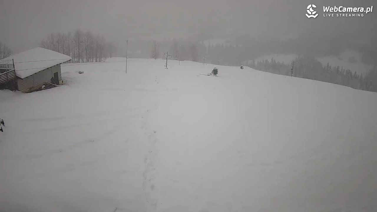 Czerwienne SKI - 26 listopad 2025, 11:20