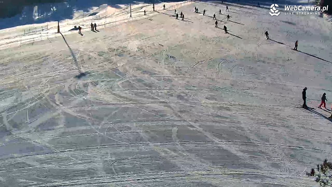 Czorsztyn-Ski Kluszkowce - 20 styczeń 2026, 10:24