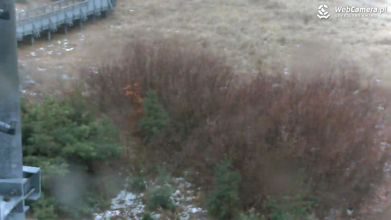 DARŁOWO - widok na plażę - 26 styczeń 2026, 12:33