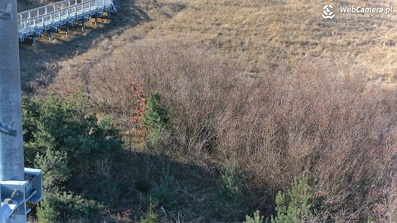 DARŁOWO - widok na plażę - 13 marzec 2026, 08:51