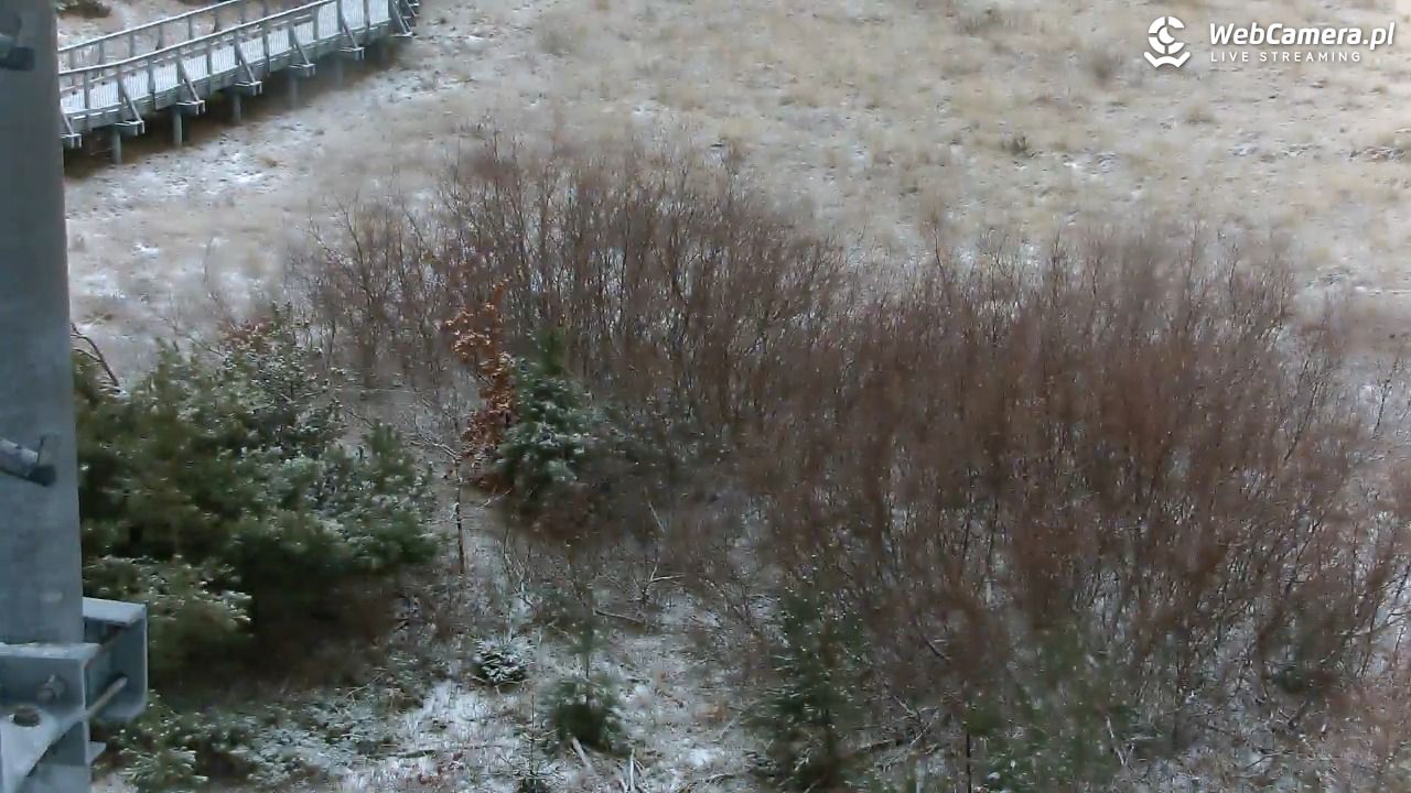 DARŁOWO - widok na plażę - 28 styczeń 2026, 08:30