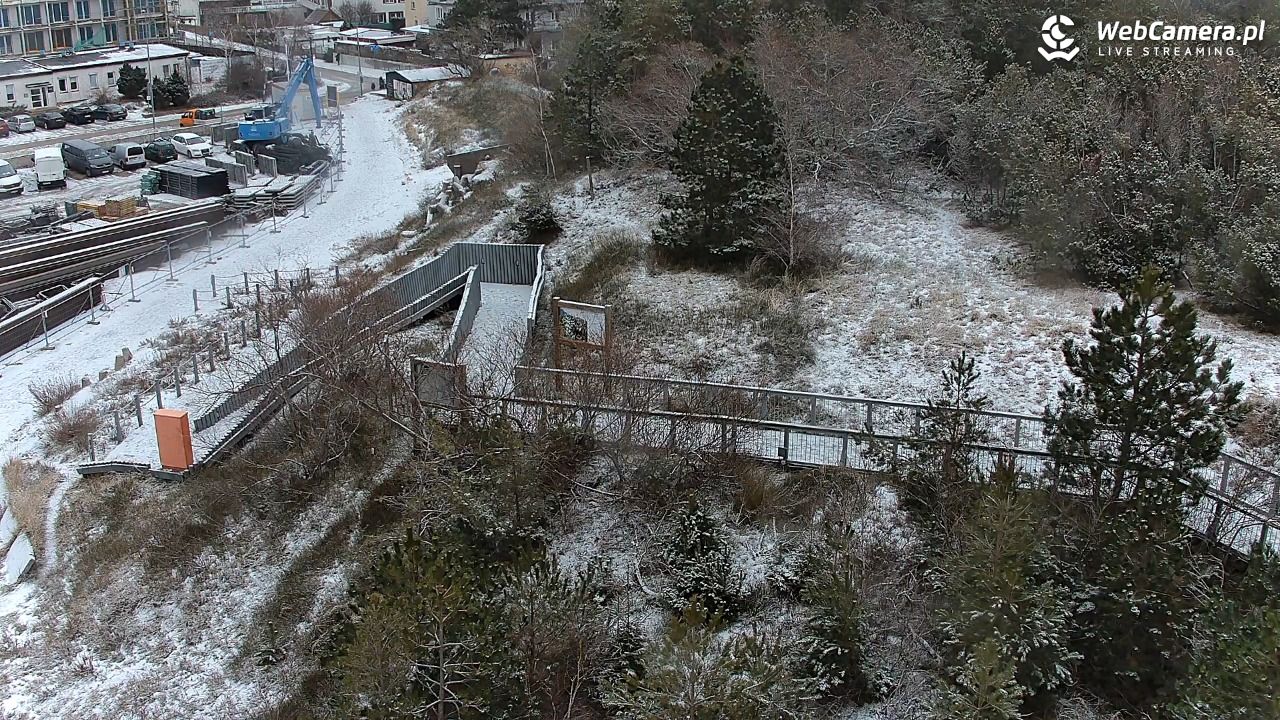 DARŁOWO - widok na plażę - 28 styczeń 2026, 13:54