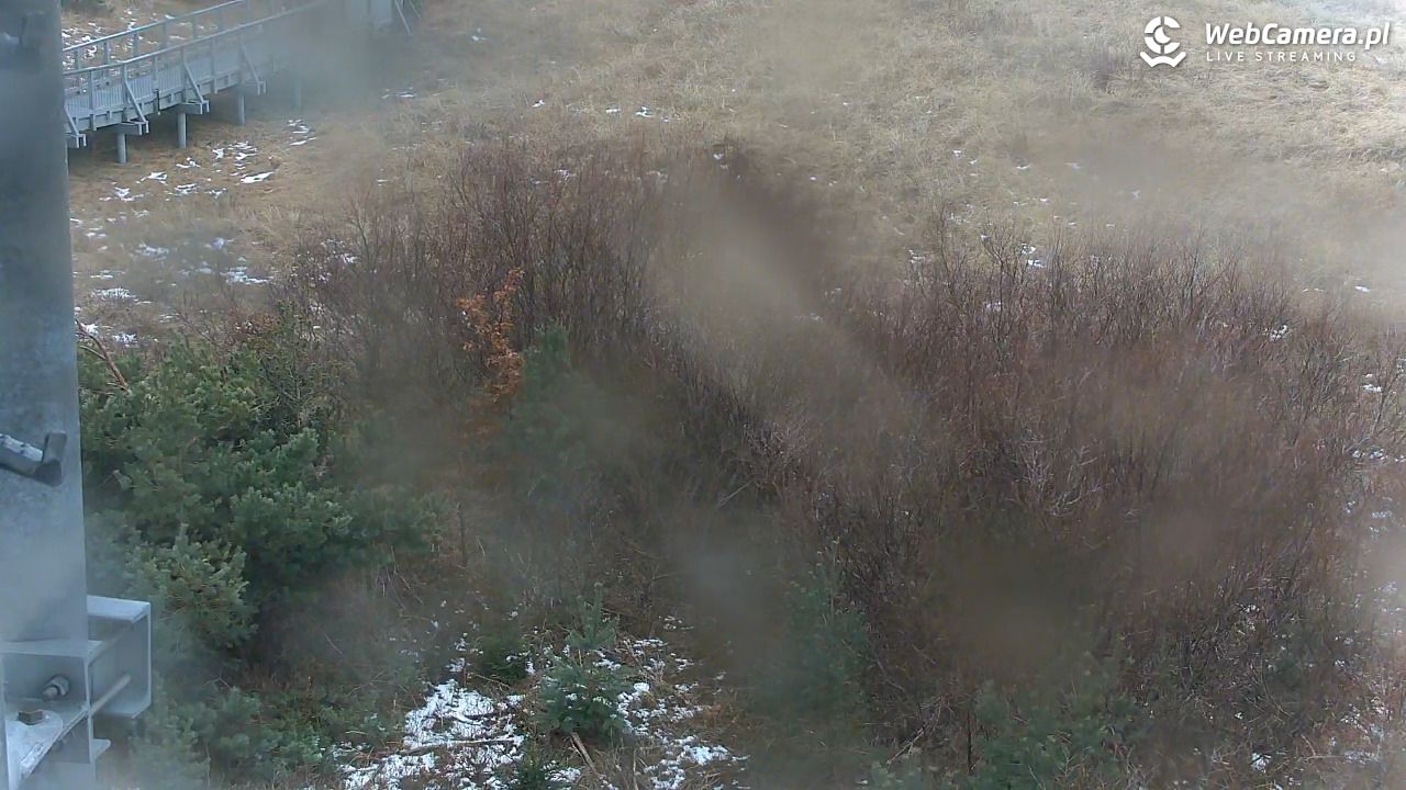 DARŁOWO - widok na plażę - 26 styczeń 2026, 10:24