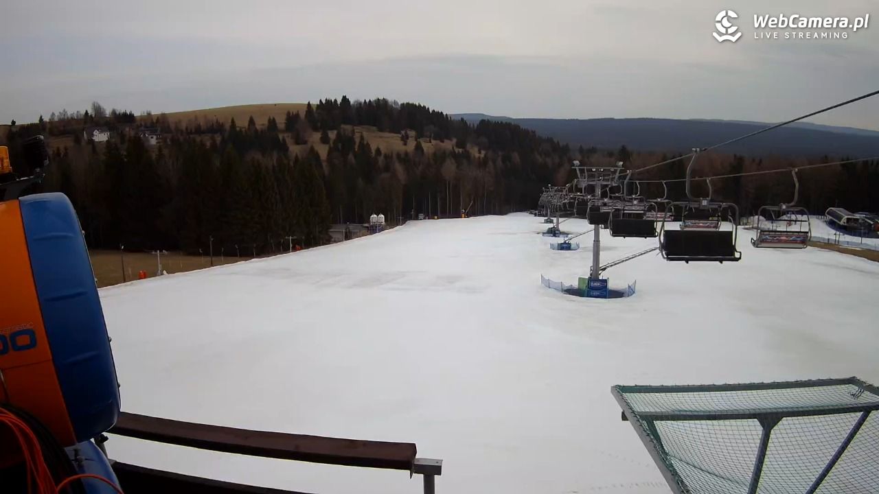 Zieleniec Sport Arena - Diament - NOWOŚĆ - 10 marzec 2026, 08:15