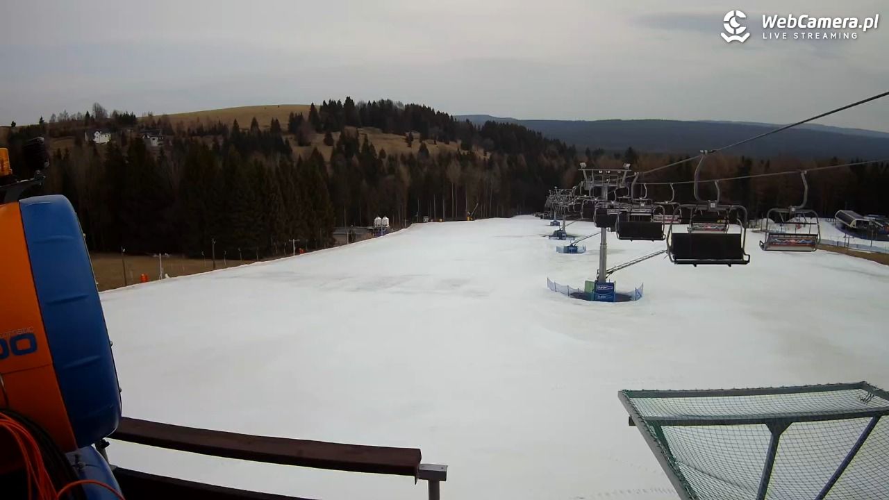 Zieleniec Sport Arena - Diament - NOWOŚĆ - 10 marzec 2026, 08:32