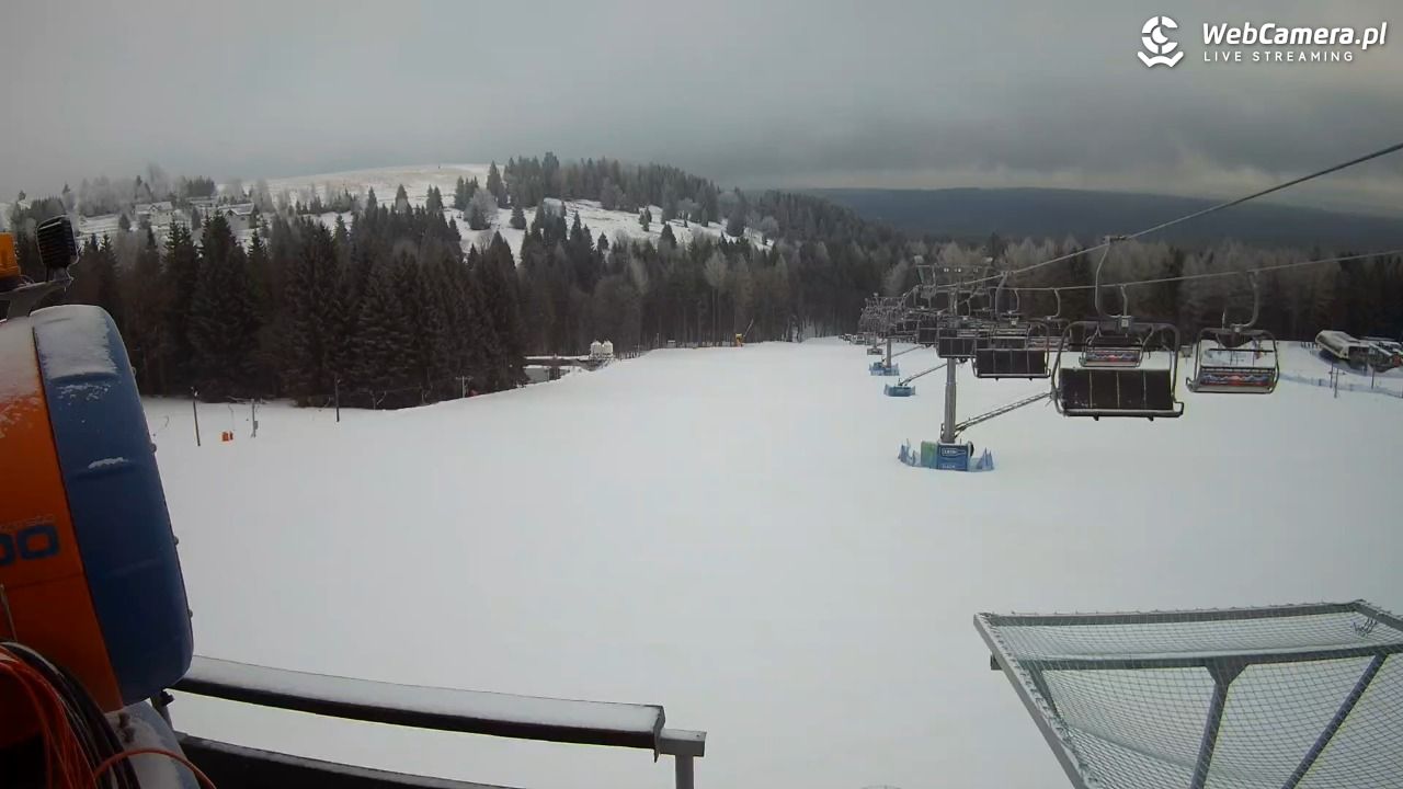 Zieleniec Sport Arena - Diament - NOWOŚĆ - 27 styczeń 2026, 08:12