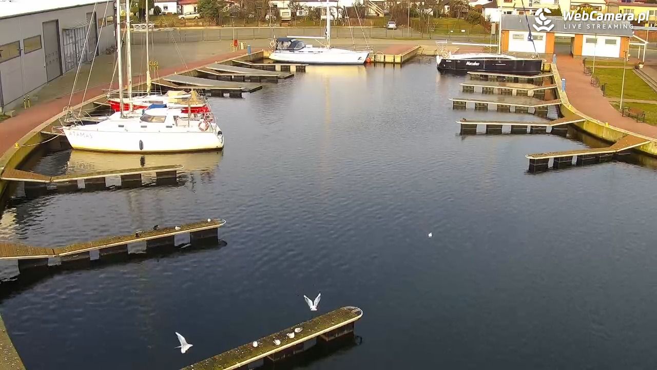 Dziwnów - widok na Marinę - 18 grudzień 2025, 11:38