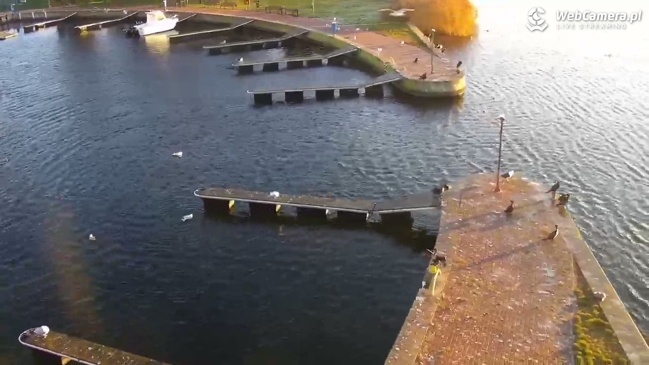 Dziwnów - widok na Marinę - 16 grudzień 2025, 09:20
