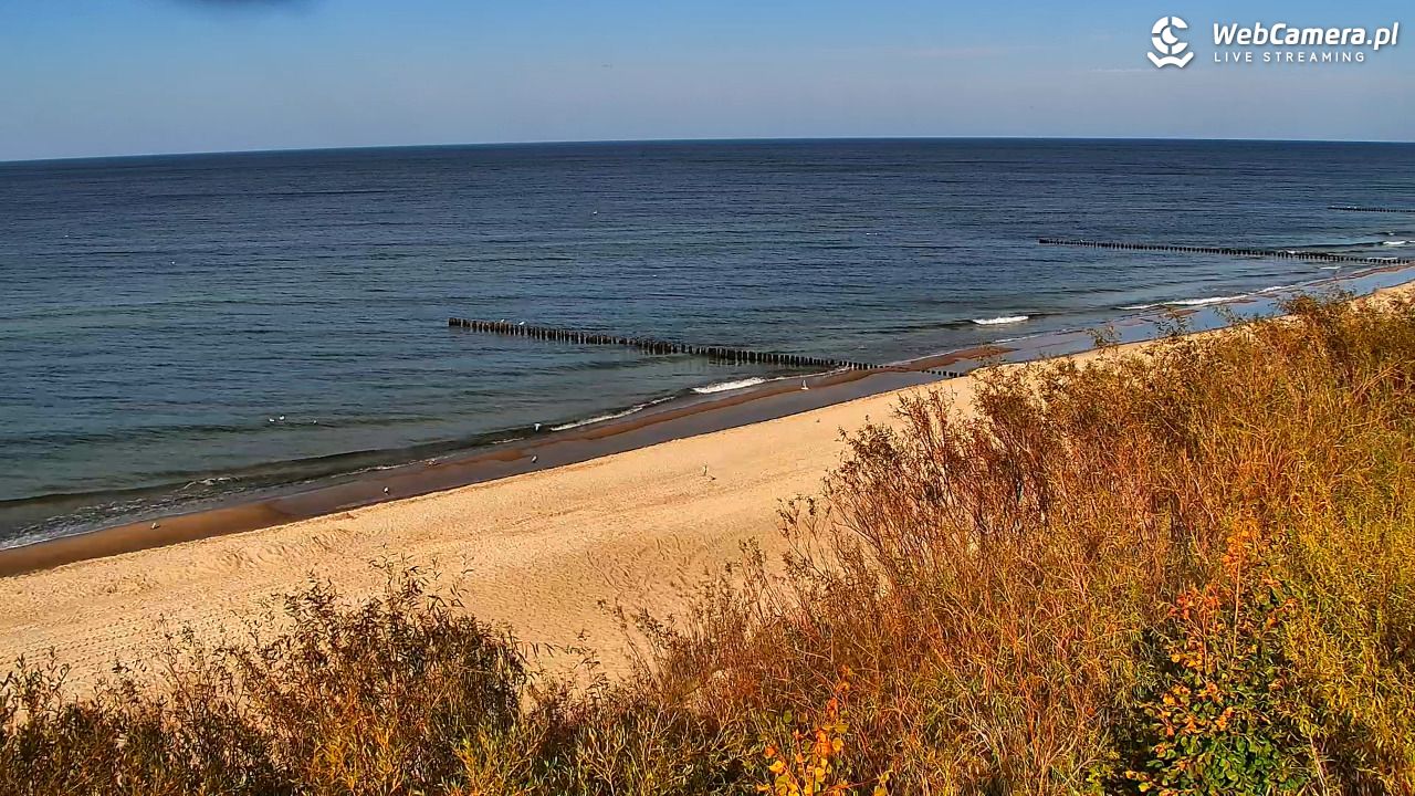 DZIWNÓW  - widok na plażę - 01 październik 2026, 15:11