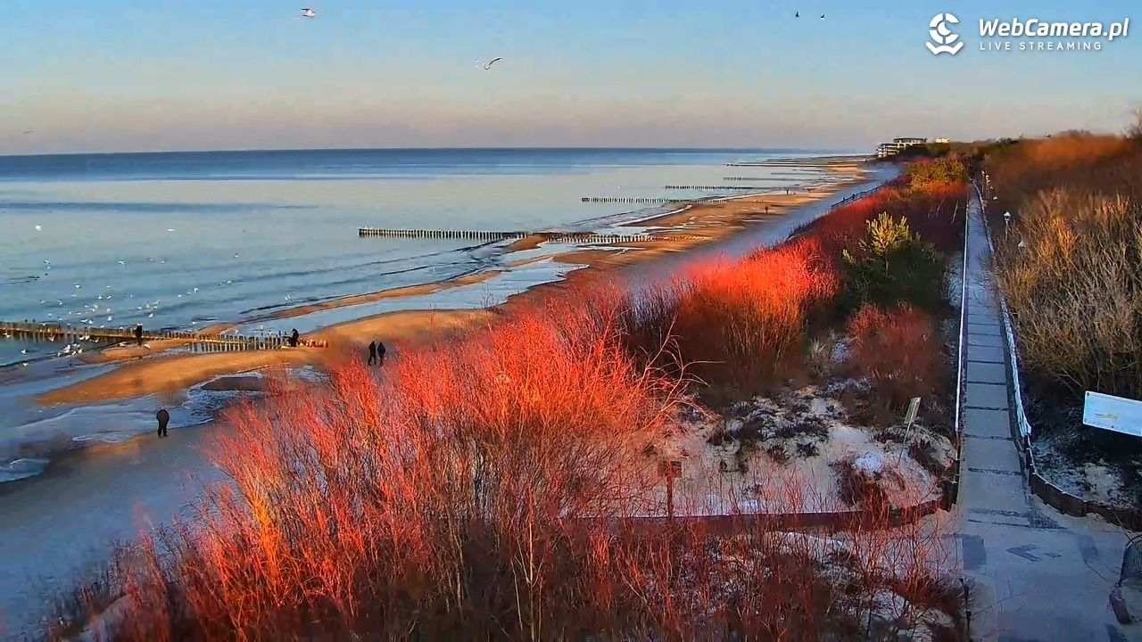DZIWNÓW  - widok na plażę - 20 styczeń 2026, 14:23