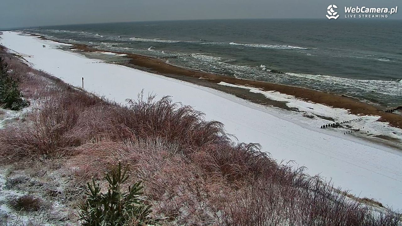 DZIWNÓW  - widok na plażę - 28 styczeń 2026, 11:56
